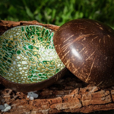 Kokosová miska se střípky mušlí