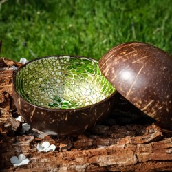 Kokosová miska se střípky mušlí - světle zelená